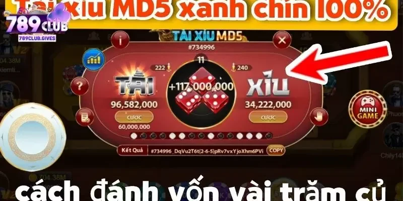 Kinh nghiệm chơi game từ các cao thủ tài xỉu MD5